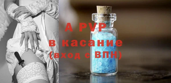 ПСИЛОЦИБИНОВЫЕ ГРИБЫ Каменка