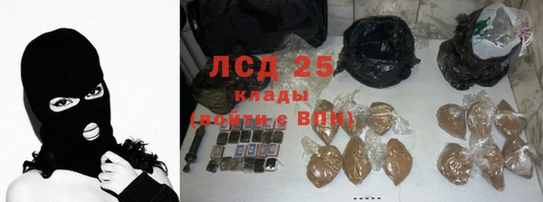ПСИЛОЦИБИНОВЫЕ ГРИБЫ Каменка