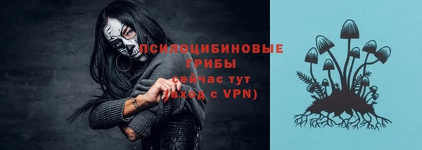 ECSTASY Каменногорск