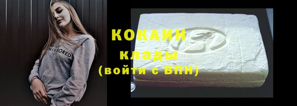 ПСИЛОЦИБИНОВЫЕ ГРИБЫ Каменка