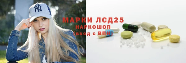 ПСИЛОЦИБИНОВЫЕ ГРИБЫ Каменка