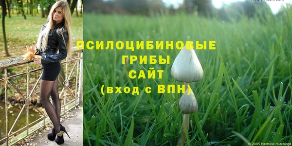 ECSTASY Каменногорск