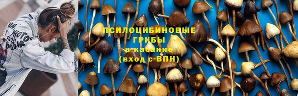 ECSTASY Каменногорск