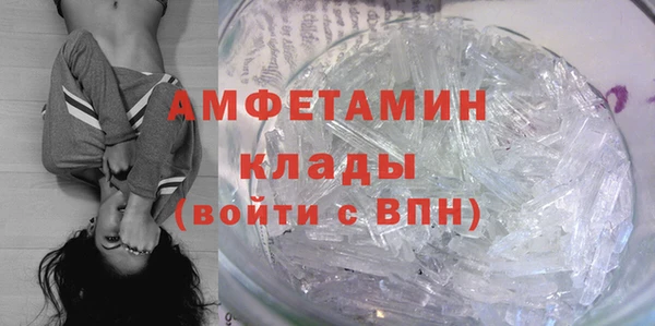 ПСИЛОЦИБИНОВЫЕ ГРИБЫ Каменка