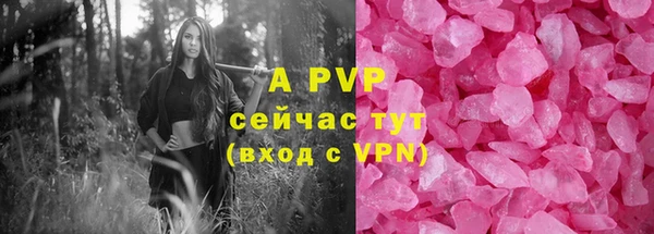 ПСИЛОЦИБИНОВЫЕ ГРИБЫ Каменка