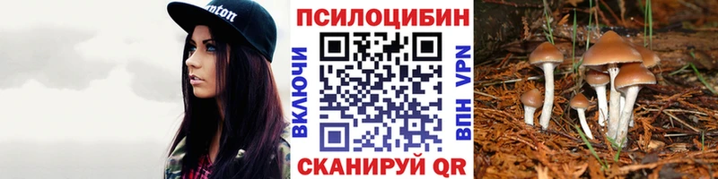 kraken онион  Вологда  Псилоцибиновые грибы ЛСД 