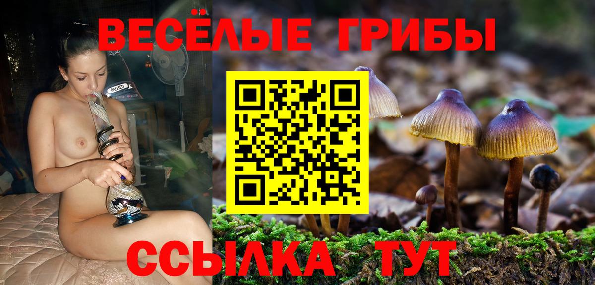 Галлюциногенные грибы ЛСД Вологда