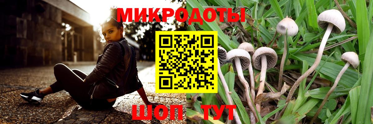 купить наркотики цена  Вход с VPN  Вологда  Галлюциногенные грибы Psilocybe 