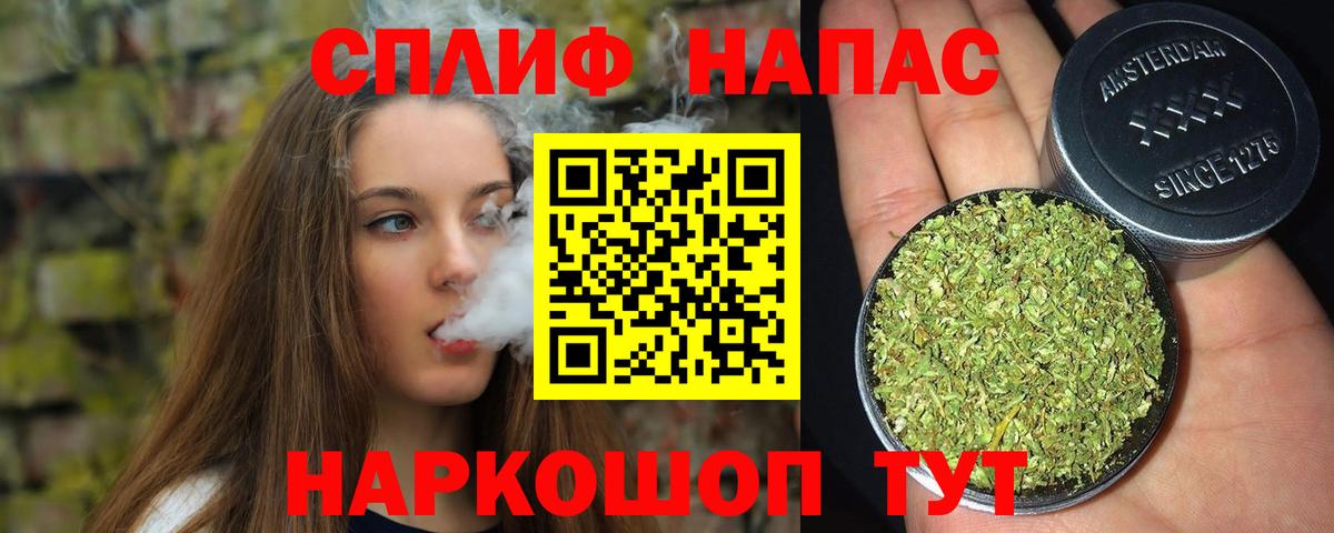 Вологда  Шишки марихуана планчик  Вход с VPN  Бошки марихуана сатива  МАРИХУАНА план 